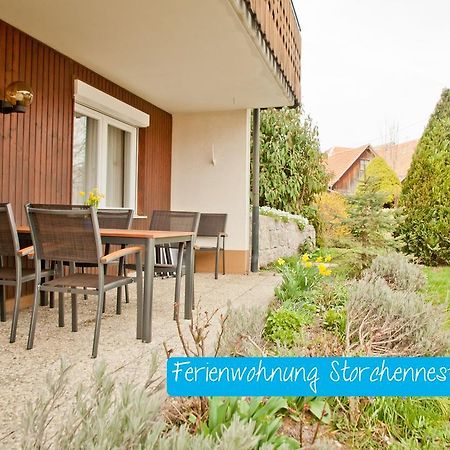 Ferienwohnung Storchennest Mit E-Ladestation Waldshut-Tiengen Kültér fotó